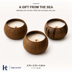 Scented Candle – Natural Coconut Shell Wooden Wick Candle